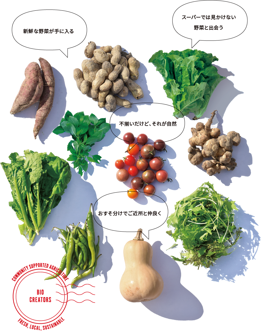 新鮮な野菜が手に入る、スーパーでは見かけない野菜と出会う、不揃いだけど、それが自然、おすそ分けでご近所と仲良く
