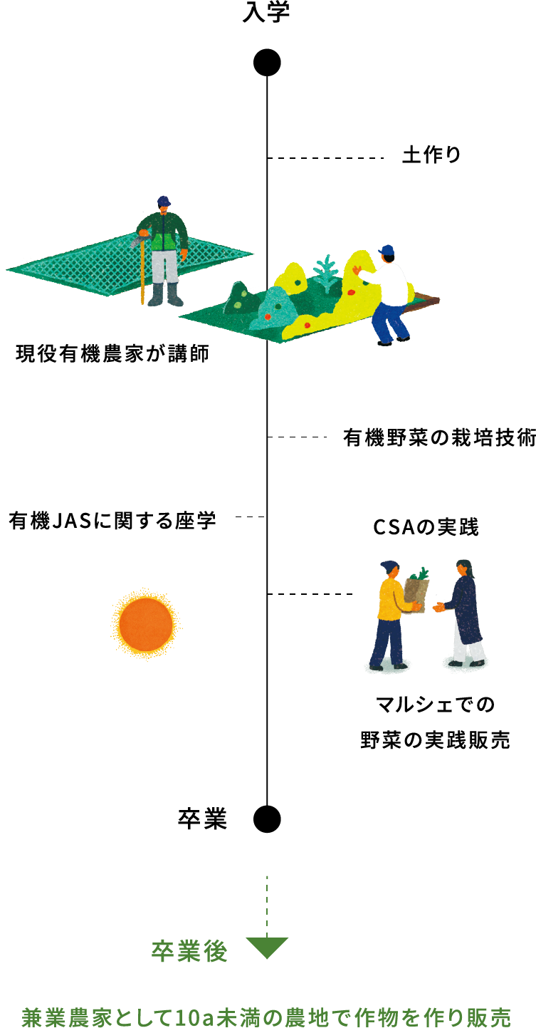 入学→現役有機農家が講師→野菜の栽培技術→有機JASに関する座学→CSAの実践→直売所など野菜の実践販売→卒業→卒業後→兼業農家として10a未満の農地で作物を作り販売